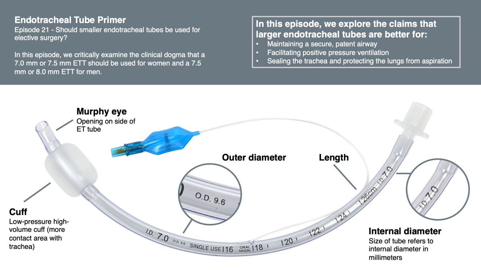 Endotracheal Tube Educational Primer Depth of Anesthesia